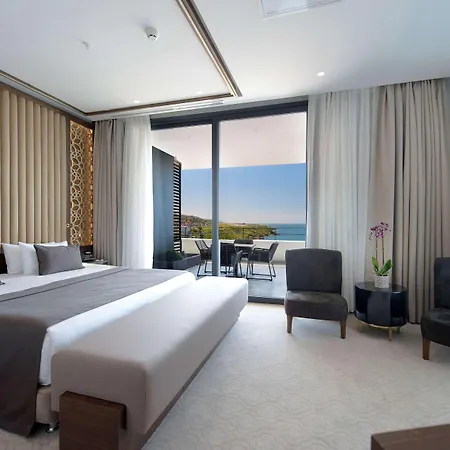 Ramada Plaza & מלון 5*